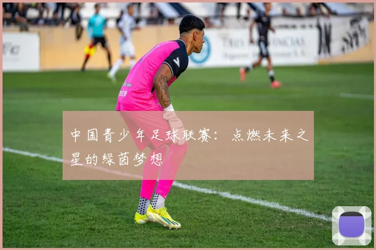 中国青少年足球联赛：点燃未来之星的绿茵梦想