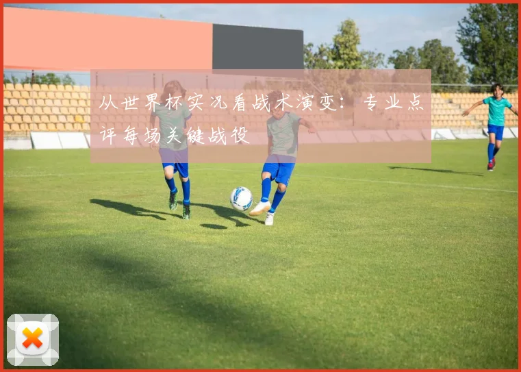 从世界杯实况看战术演变：专业点评每场关键战役