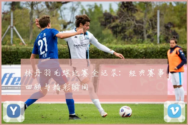 林丹羽毛球比赛全记录：经典赛事回顾与精彩瞬间